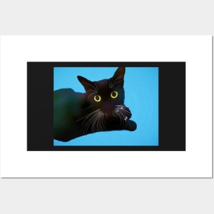 Beautiful Black Cat Posters and Art